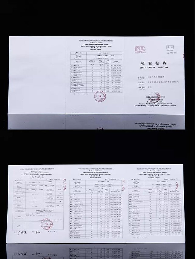 八角亭2022虎饼生肖茶布朗老树圆茶