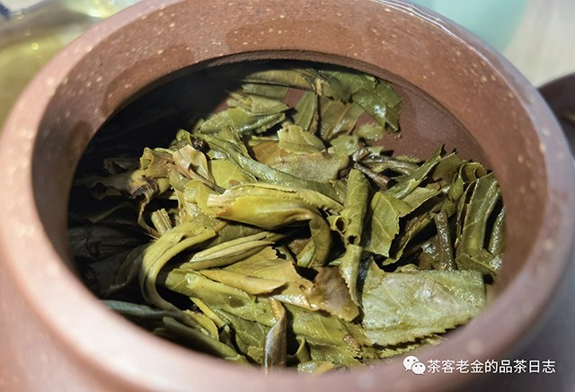 三域古茶2021年冰岛南迫秋茶