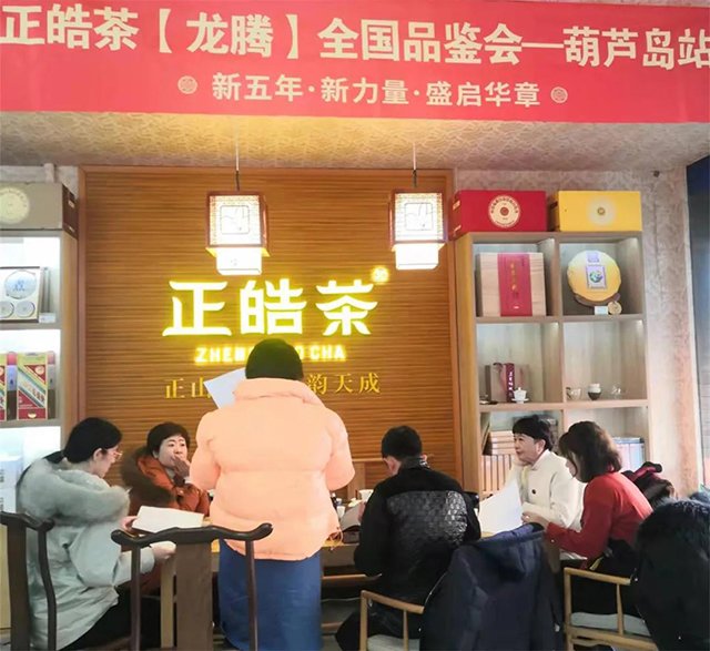 正皓茶龙腾普洱茶