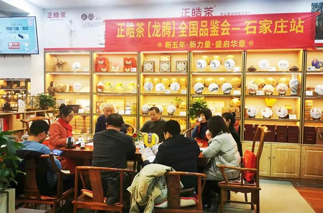 正皓茶龙腾普洱茶