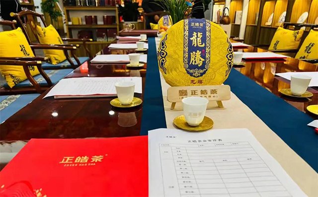 正皓茶龙腾普洱茶