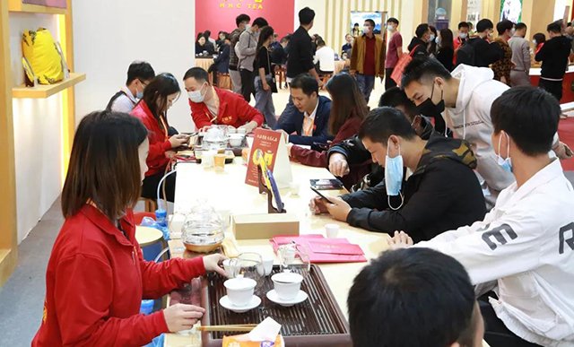 正皓茶龙腾普洱茶