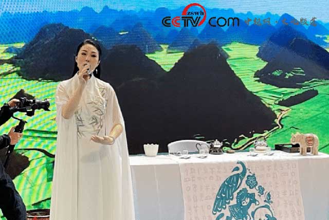 茶文化形象大使徐菲尔对云南做推介