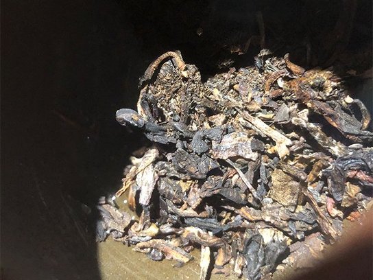 贡沱驿14年陈昆明仓特级沱普洱茶