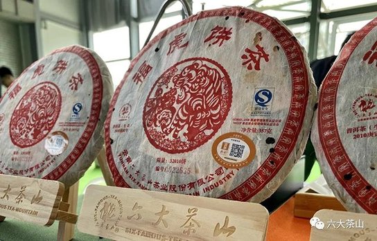 六大茶山普洱茶品牌