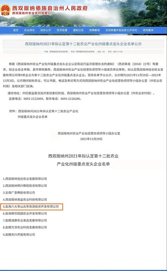 六大茶山普洱茶品牌