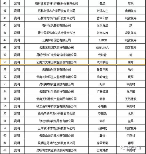 六大茶山普洱茶品牌