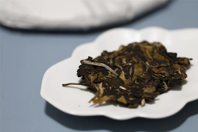 益木堂若野老树白茶