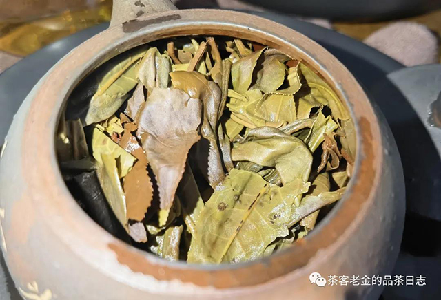 晓茶2021年大又粗普洱茶