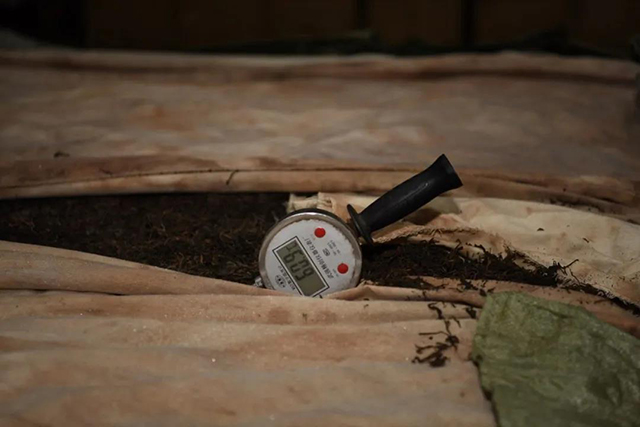益木堂笑傲传奇之刮风寨熟茶