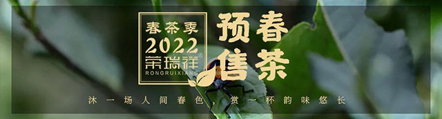 荣瑞祥梅子箐春茶