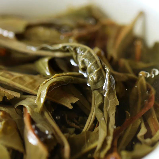 荣瑞祥梅子箐春茶