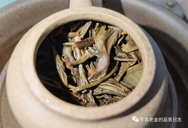 天天上饮赛班章普洱茶