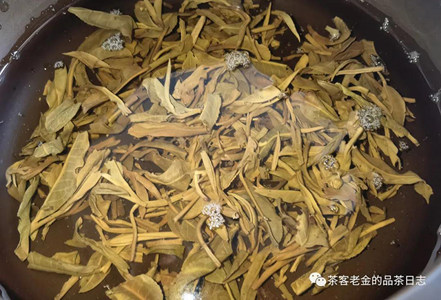 佤山茶人南乃普洱茶