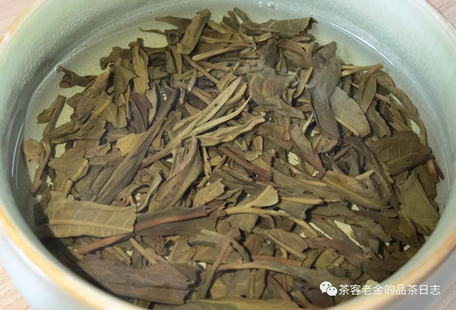 庄生晓梦2018年宋扇清风普洱茶
