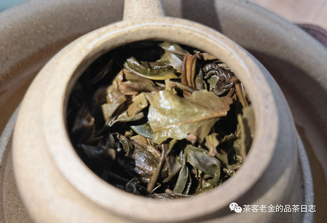 茗寿堂寻梅普洱茶