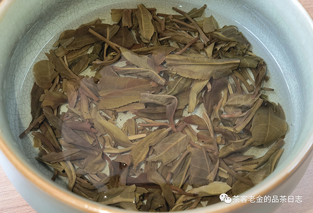 茗寿堂寻梅普洱茶