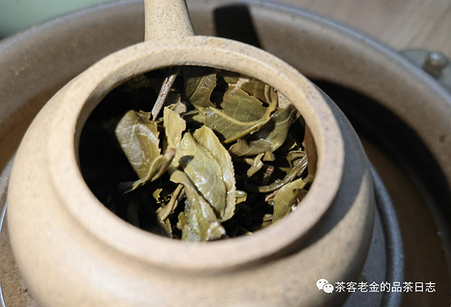 苦行茶僧2021年顽砖普洱茶