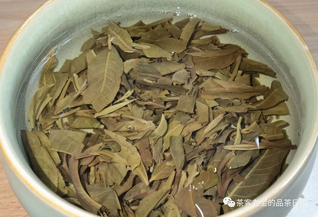 斗记傲斗普洱茶