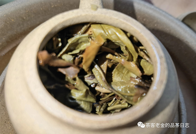 2019年老班章大单株头春普洱茶