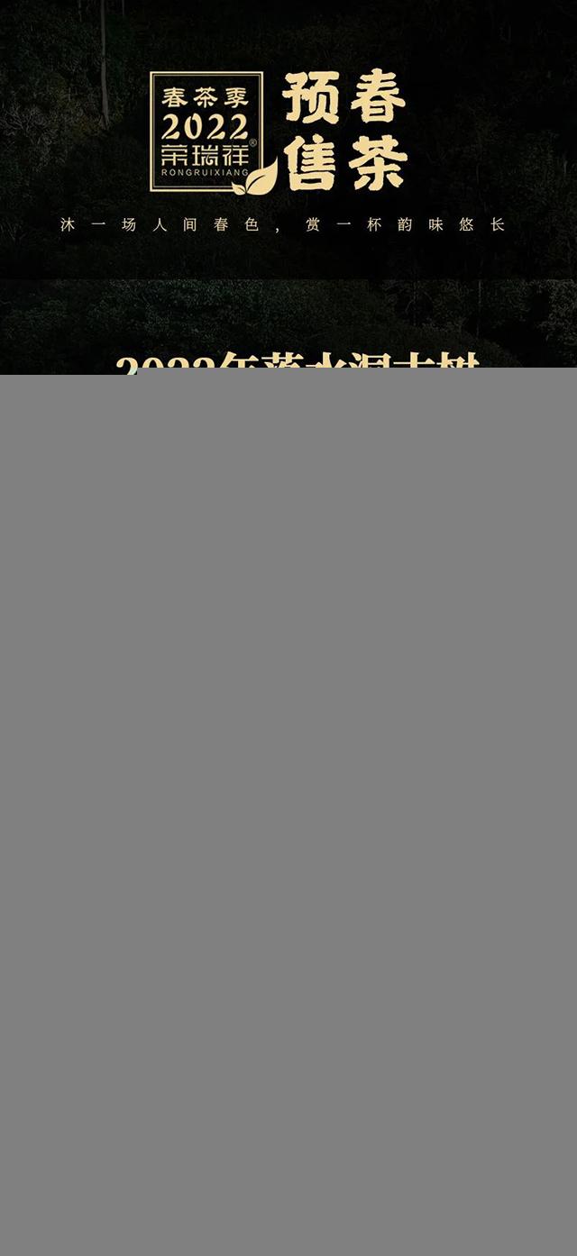 荣瑞祥2022年易武落水洞古树春茶