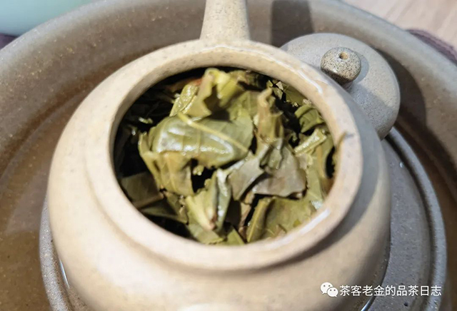 吾茶共饮2022新拼配普洱茶