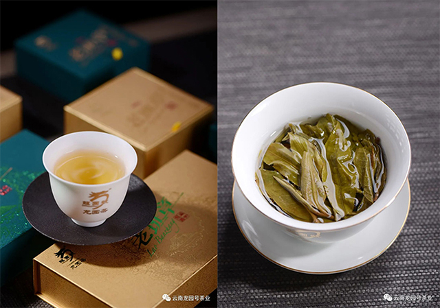 龙园号2022年老班章龙珠礼茶