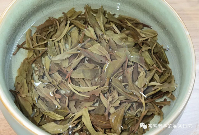 困鹿山制茶人2021年曼松草木间普洱茶