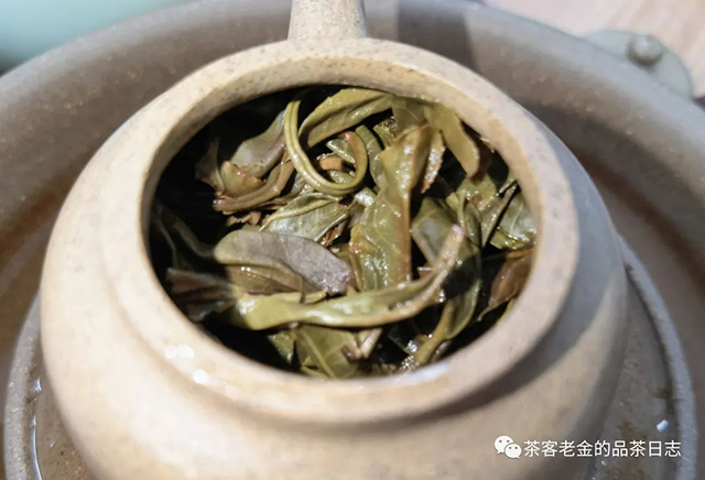 困鹿山制茶人2021年曼松草木间普洱茶