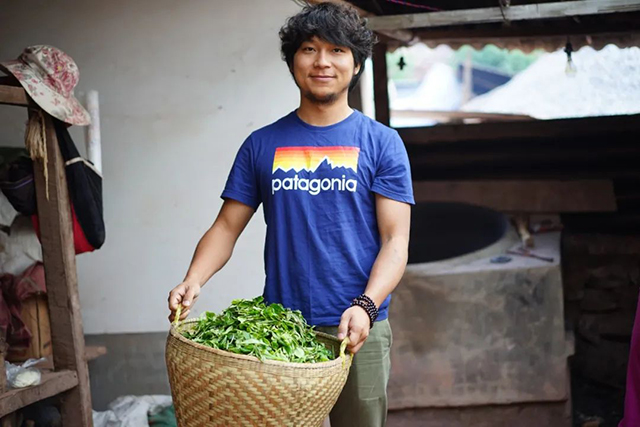 云南普洱茶品牌吉普号