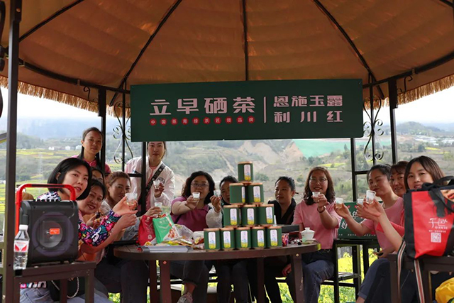 2022年春茶产销形势