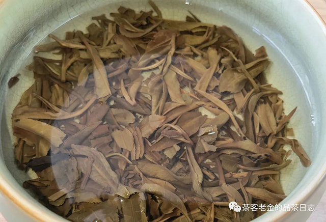 苦行茶僧无界十年普洱茶