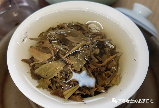 苦行茶僧无界十年普洱茶