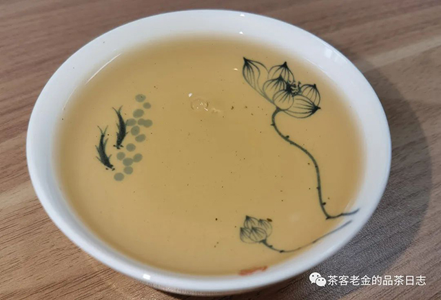 苦行茶僧无界十年普洱茶
