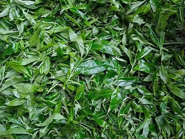 �ն����г����������