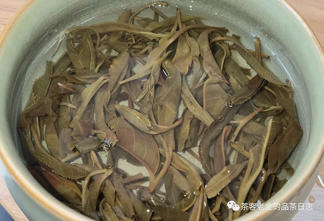 茶者无喧2022年蟒蛇箐普洱茶