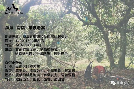 ��ɽ�跻