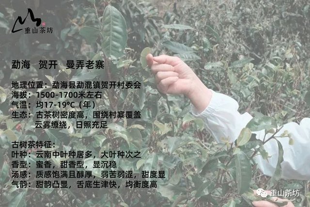 ��ɽ�跻