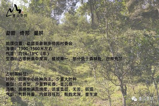 ��ɽ�跻