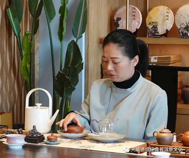天威德成2022年春茶新品尝鲜茶会