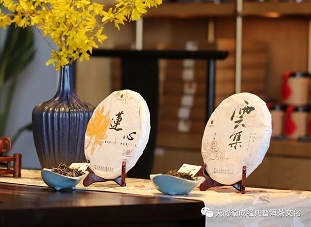天威德成2022年春茶新品尝鲜茶会