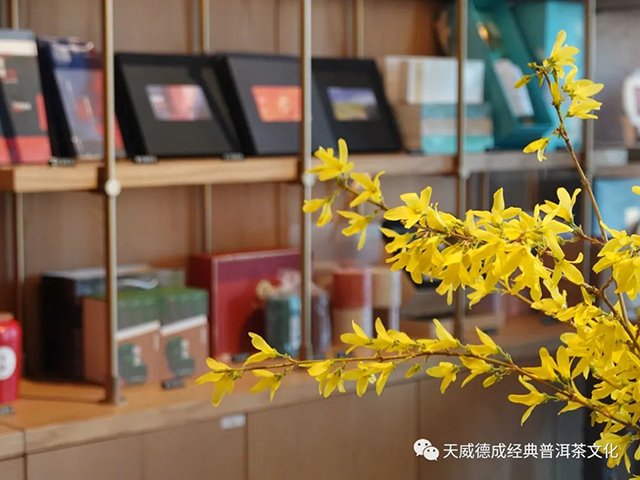 天威德成2022年春茶新品尝鲜茶会