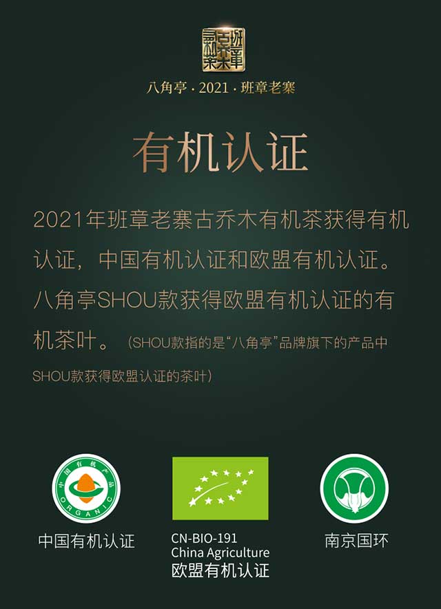 �˽�ͤ2021�����ǰ�����կ����ľ�л���
