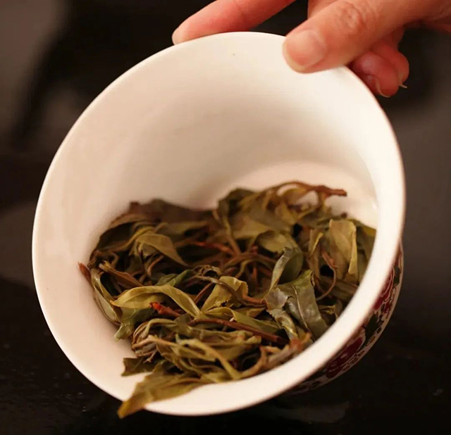 锅底塘梅子箐汤色和叶底