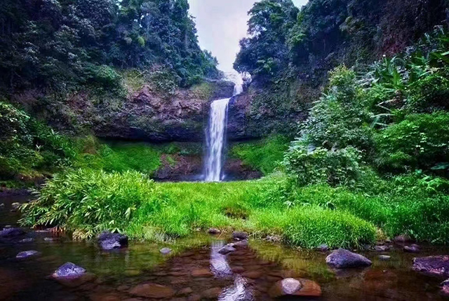 清水塘 普洱茶绿水塘之谜最新信息:临沧绿水塘普洱茶产地在哪?