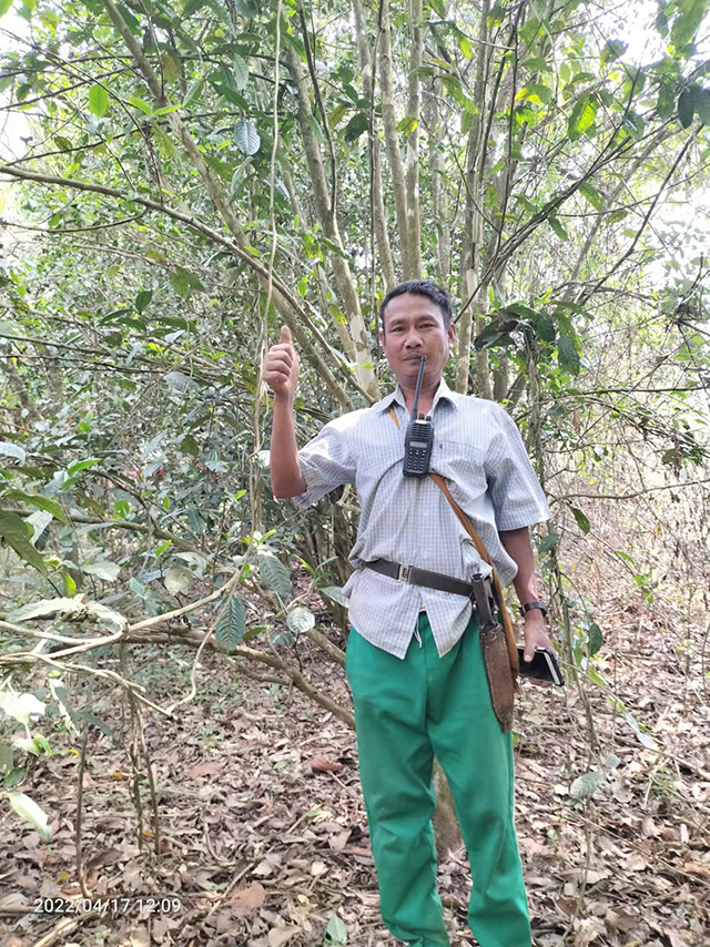 深山老林无名古茶地图集