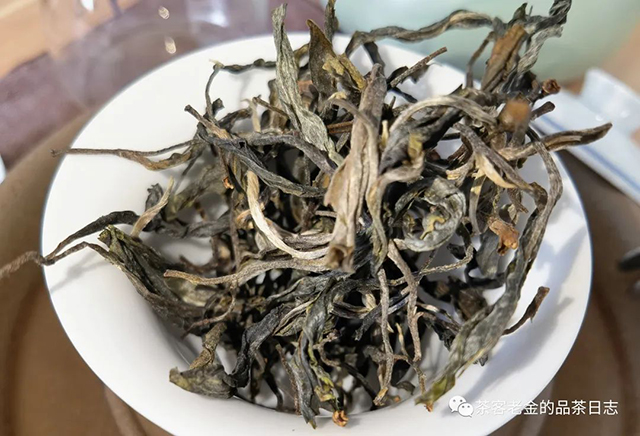 流星赶月2022年冷水河春茶普洱茶