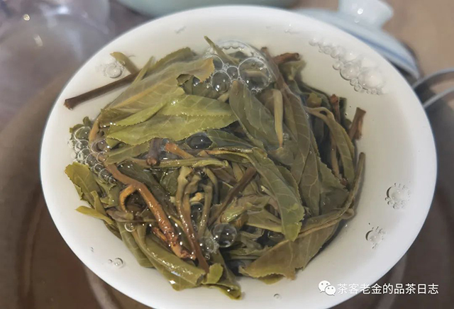 流星赶月2022年冷水河春茶普洱茶