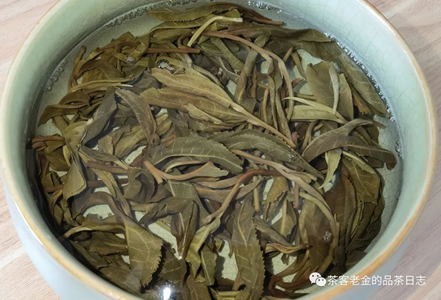 流星赶月2022年冷水河春茶普洱茶