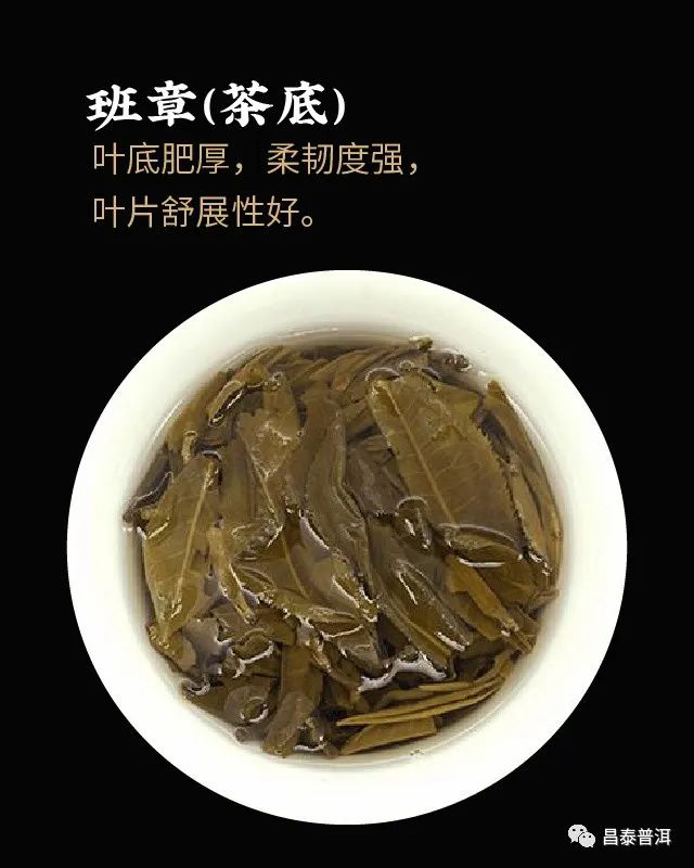 昌泰普洱2022年茶壶陈班章普洱茶
